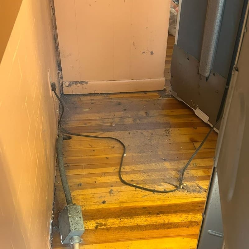Cleaning work by Dirty2Clean — photo 4 of 14