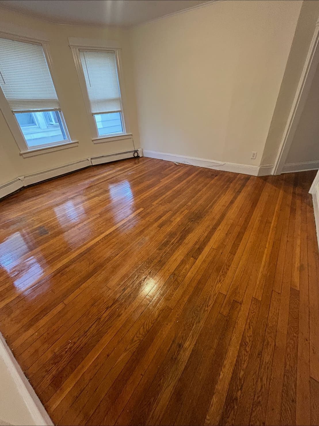 Move In / Move Out Cleaning